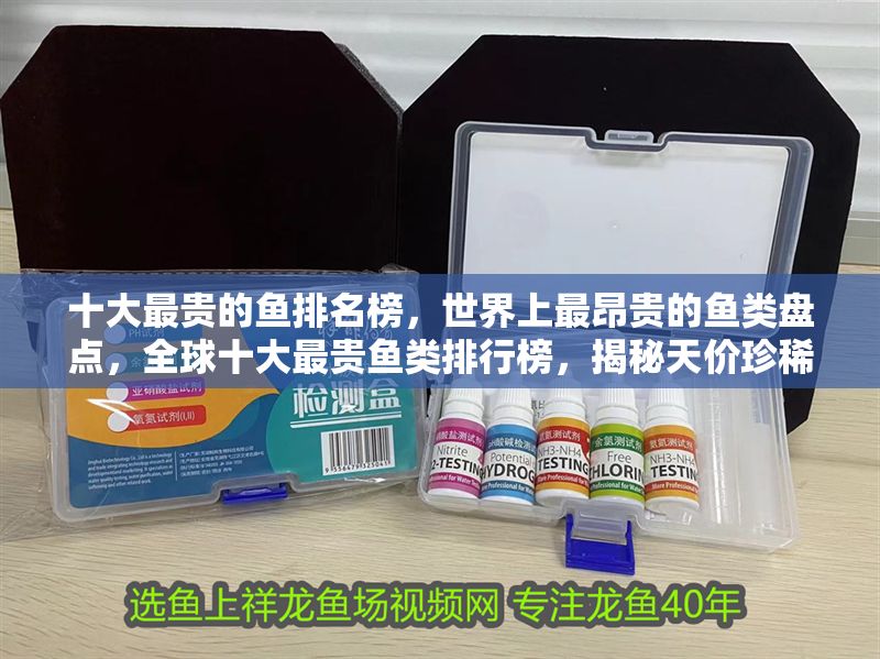 十大最貴的魚排名榜，世界上最昂貴的魚類盤點，全球十大最貴魚類排行榜，揭秘天價珍稀魚種