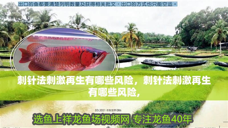 魚缸過濾器選購指南:自制魚缸過濾器魚缸上置過濾器對于養魚愛好者的必備知識 刺針法刺激再生有哪些風險,刺針法刺激再生有哪些風險, 龍魚百科 刺針法刺激再生有哪些風險,刺針法刺激再生有哪些風險, 刺針法刺激再生有哪些風險,刺針法刺激再生有哪些風險, 龍魚百科