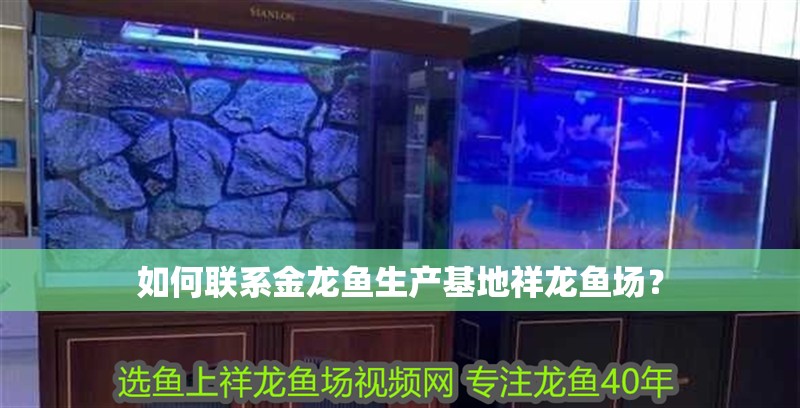 如何聯系金龍魚生產基地祥龍魚場？ 如何聯系金龍魚生產基地祥龍魚場？ 龍魚百科