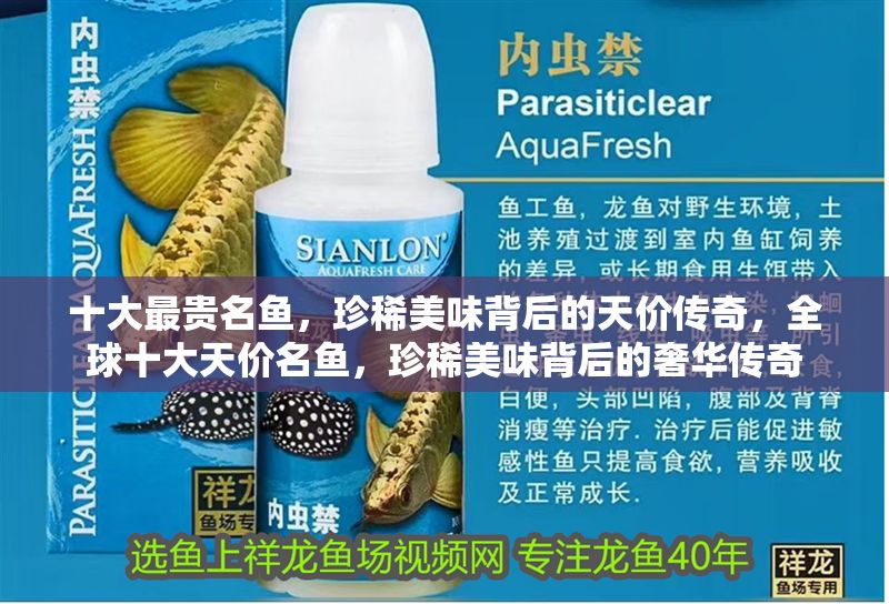 十大最貴名魚，珍稀美味背后的天價傳奇，全球十大天價名魚，珍稀美味背后的奢華傳奇