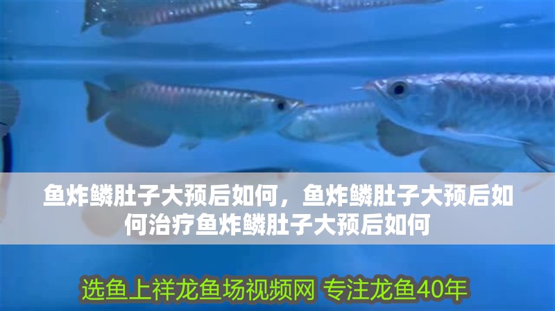 魚缸用增氧泵價格是多少:魚缸增氧機-xtrac增氧機-xtrac增氧機 魚炸鱗肚子大預后如何,魚炸鱗肚子大預后如何治療魚炸鱗肚子大預后如何 龍魚百科 魚炸鱗肚子大預后如何,魚炸鱗肚子大預后如何治療魚炸鱗肚子大預后如何 魚炸鱗肚子大預后如何,魚炸鱗肚子大預后如何治療魚炸鱗肚子大預后如何 龍魚百科