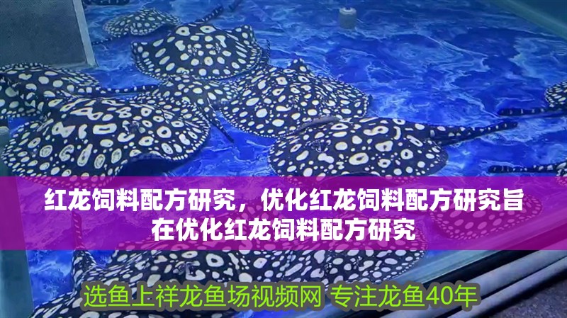 紅龍飼料配方研究，優化紅龍飼料配方研究旨在優化紅龍飼料配方研究 紅龍飼料配方研究，優化紅龍飼料配方研究旨在優化紅龍飼料配方研究 龍魚百科
