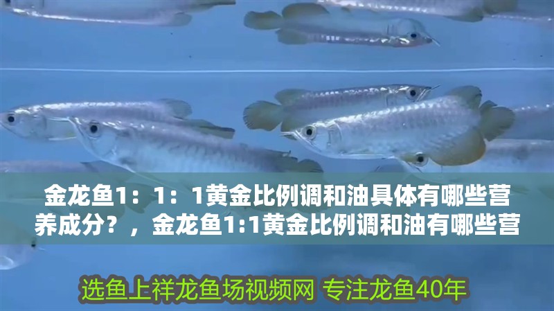 金龍魚1：1：1黃金比例調和油具體有哪些營養成分？，金龍魚1:1黃金比例調和油有哪些營養成分對比表 金龍魚1：1：1黃金比例調和油具體有哪些營養成分？，金龍魚1:1黃金比例調和油有哪些營養成分對比表 龍魚百科