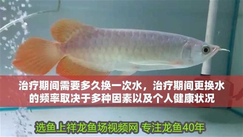 治療期間需要多久換一次水，治療期間更換水的頻率取決于多種因素以及個人健康狀況 治療期間需要多久換一次水，治療期間更換水的頻率取決于多種因素以及個人健康狀況 龍魚百科