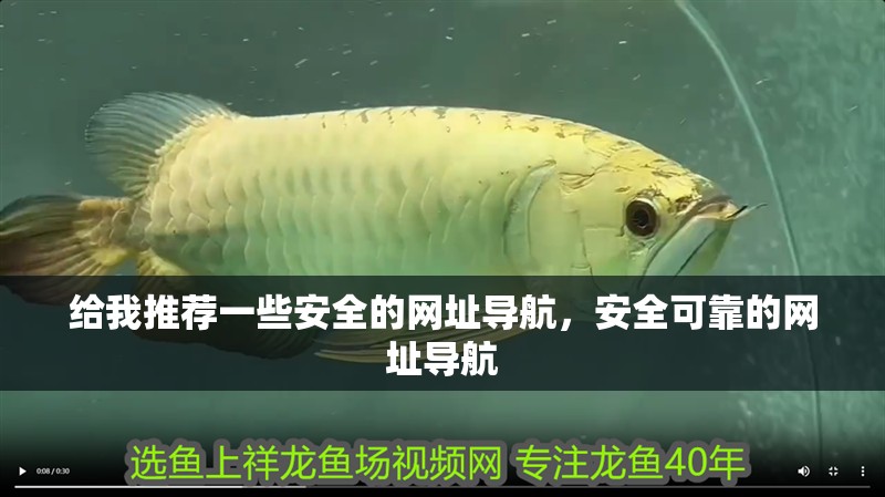 魚缸過濾器選購指南:自制魚缸過濾器魚缸上置過濾器對于養魚愛好者的必備知識 給我推薦一些安全的網址導航,安全可靠的網址導航 龍魚百科 給我推薦一些安全的網址導航,安全可靠的網址導航 給我推薦一些安全的網址導航,安全可靠的網址導航 龍魚百科