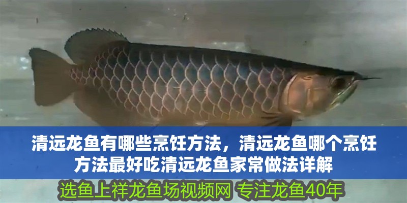 我的虎魚真菌感染了要怎么處理 清遠龍魚有哪些烹飪方法,清遠龍魚哪個烹飪方法最好吃清遠龍魚家常做法詳解 龍魚百科 清遠龍魚有哪些烹飪方法,清遠龍魚哪個烹飪方法最好吃清遠龍魚家常做法詳解 清遠龍魚有哪些烹飪方法,清遠龍魚哪個烹飪方法最好吃清遠龍魚家常做法詳解 龍魚百科