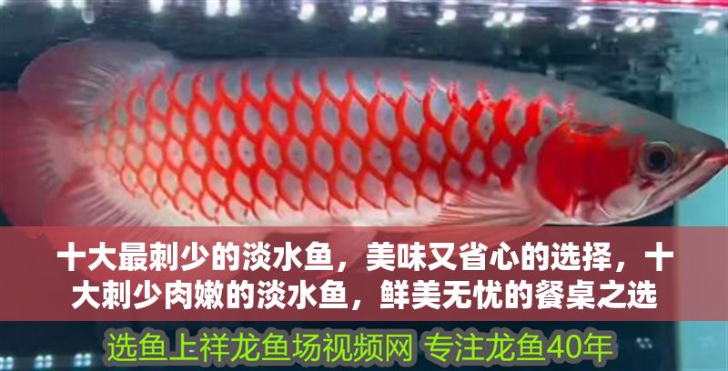 十大最刺少的淡水魚，美味又省心的選擇，十大刺少肉嫩的淡水魚，鮮美無憂的餐桌之選