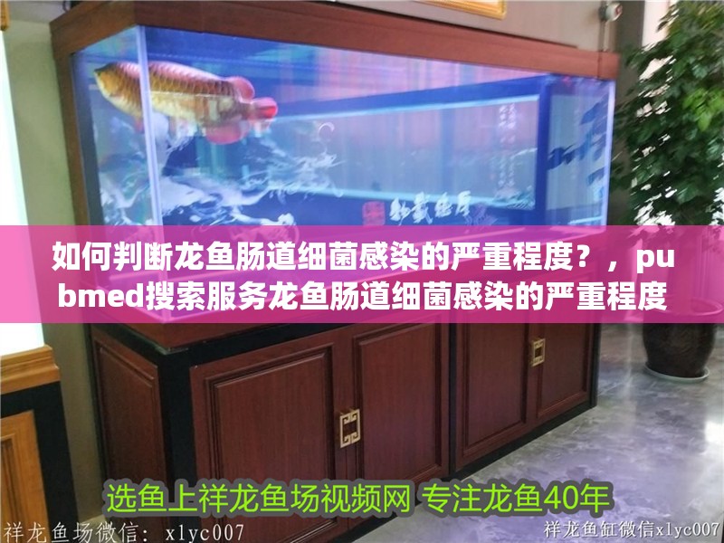 如何判斷龍魚腸道細菌感染的嚴重程度？，pubmed搜索服務龍魚腸道細菌感染的嚴重程度 如何判斷龍魚腸道細菌感染的嚴重程度？，pubmed搜索服務龍魚腸道細菌感染的嚴重程度 龍魚百科