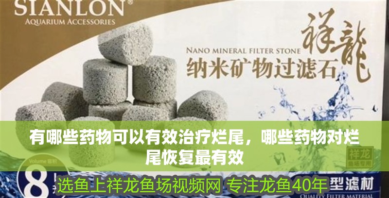 有哪些藥物可以有效治療爛尾，哪些藥物對爛尾恢復最有效 有哪些藥物可以有效治療爛尾，哪些藥物對爛尾恢復最有效 龍魚百科