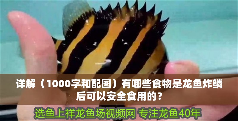 給大魚缸換水的作文:體驗給大魚缸換水的樂趣:體驗給大魚缸換水:給大魚缸換水的作文 詳解(1000字和配圖)有哪些食物是龍魚炸鱗后可以安全食用的? 龍魚百科 詳解(1000字和配圖)有哪些食物是龍魚炸鱗后可以安全食用的? 詳解(1000字和配圖)有哪些食物是龍魚炸鱗后可以安全食用的? 龍魚百科
