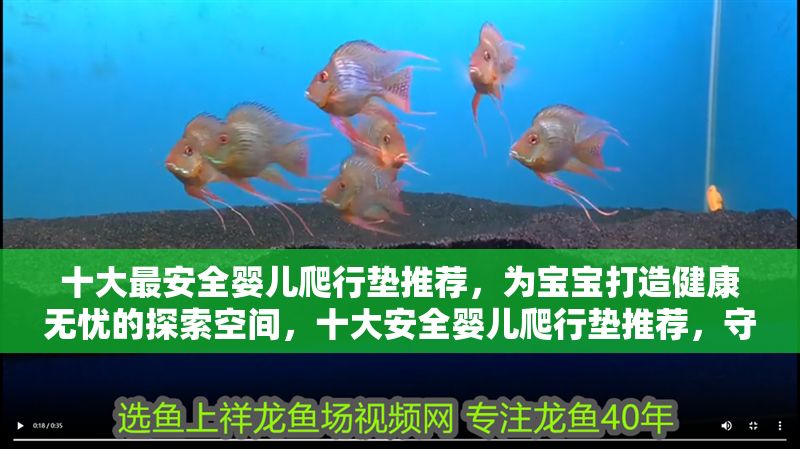 十大最安全嬰兒爬行墊推薦，為寶寶打造健康無憂的探索空間，十<strong><mark>大安</mark></strong>全嬰兒爬行墊推薦，守護寶寶健康探索每一步