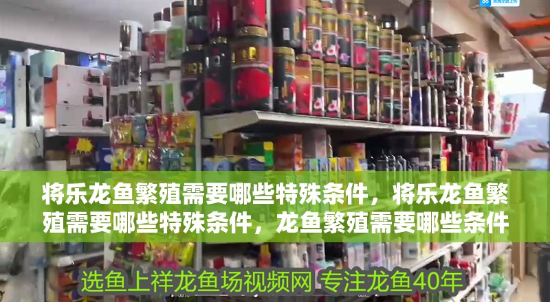 龍魚干蝦有營養(yǎng)嗎 將樂龍魚繁殖需要哪些特殊條件,將樂龍魚繁殖需要哪些特殊條件,龍魚繁殖需要哪些條件 龍魚百科 將樂龍魚繁殖需要哪些特殊條件,將樂龍魚繁殖需要哪些特殊條件,龍魚繁殖需要哪些條件 將樂龍魚繁殖需要哪些特殊條件,將樂龍魚繁殖需要哪些特殊條件,龍魚繁殖需要哪些條件 龍魚百科