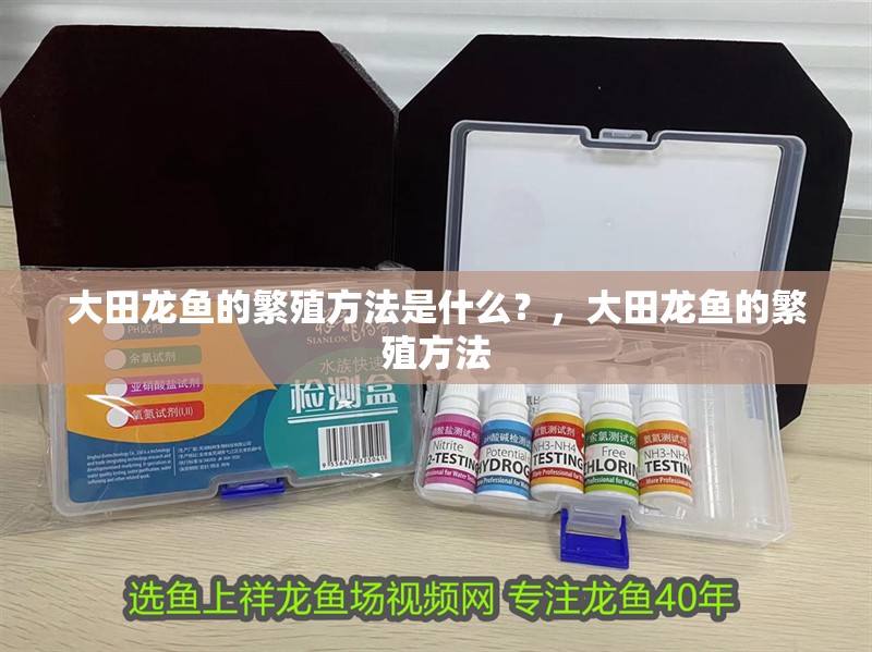 大田龍魚的繁殖方法是什么？，大田龍魚的繁殖方法 大田龍魚的繁殖方法是什么？，大田龍魚的繁殖方法 龍魚百科