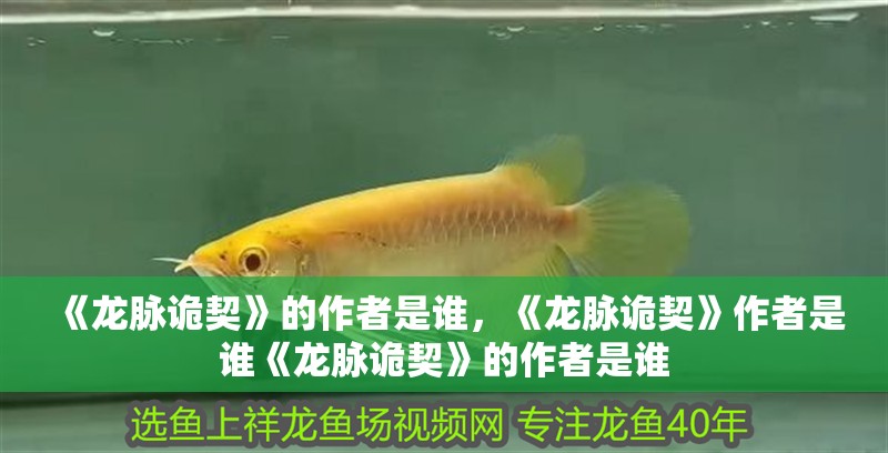我的虎魚真菌感染了要怎么處理 《龍脈詭契》的作者是誰,《龍脈詭契》作者是誰《龍脈詭契》的作者是誰 龍魚百科 《龍脈詭契》的作者是誰,《龍脈詭契》作者是誰《龍脈詭契》的作者是誰 《龍脈詭契》的作者是誰,《龍脈詭契》作者是誰《龍脈詭契》的作者是誰 龍魚百科