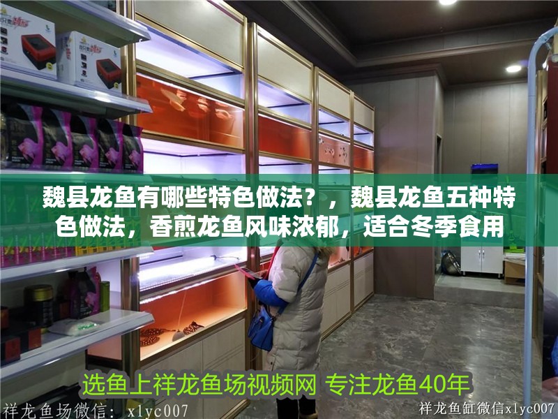 魏縣龍魚有哪些特色做法？，魏縣龍魚五種特色做法，香煎龍魚風(fēng)味濃郁，適合冬季食用 魏縣龍魚有哪些特色做法？，魏縣龍魚五種特色做法，香煎龍魚風(fēng)味濃郁，適合冬季食用 龍魚百科