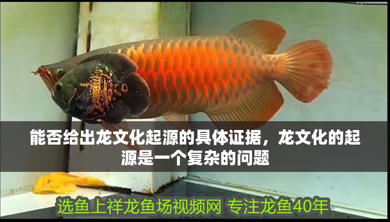 魚缸過濾器選購指南:自制魚缸過濾器魚缸上置過濾器對于養魚愛好者的必備知識 能否給出龍文化起源的具體證據,龍文化的起源是一個復雜的問題 龍魚百科 能否給出龍文化起源的具體證據,龍文化的起源是一個復雜的問題 能否給出龍文化起源的具體證據,龍文化的起源是一個復雜的問題 龍魚百科