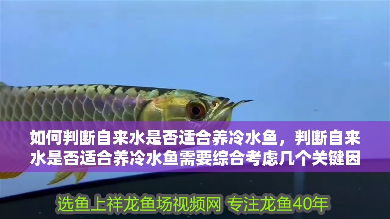 如何判斷自來水是否適合養冷水魚，判斷自來水是否適合養冷水魚需要綜合考慮幾個關鍵因素 如何判斷自來水是否適合養冷水魚，判斷自來水是否適合養冷水魚需要綜合考慮幾個關鍵因素 龍魚百科