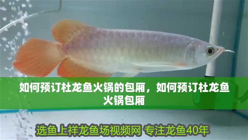 如何預訂杜龍魚火鍋的包廂，如何預訂杜龍魚火鍋包廂 如何預訂杜龍魚火鍋的包廂，如何預訂杜龍魚火鍋包廂 龍魚百科