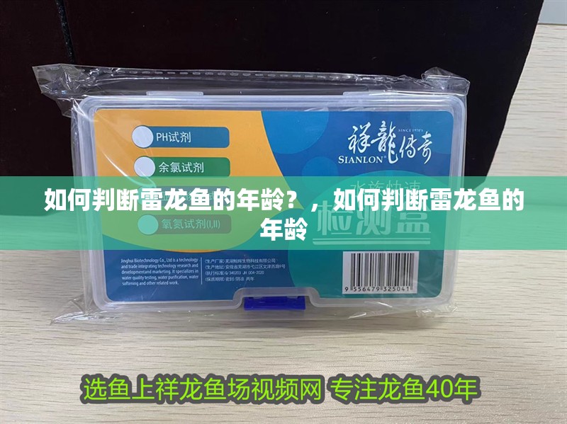 龍魚(yú)干蝦有營(yíng)養(yǎng)嗎 如何判斷雷龍魚(yú)的年齡?,如何判斷雷龍魚(yú)的年齡 龍魚(yú)百科 如何判斷雷龍魚(yú)的年齡?,如何判斷雷龍魚(yú)的年齡 如何判斷雷龍魚(yú)的年齡?,如何判斷雷龍魚(yú)的年齡 龍魚(yú)百科