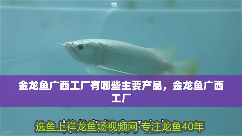 金龍魚廣<strong><mark>西工</mark></strong>廠有哪些主要產(chǎn)品，金龍魚廣<strong><mark>西工</mark></strong>廠