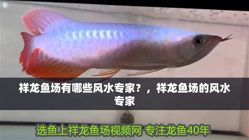 祥龍魚(yú)場(chǎng)有哪些風(fēng)水專(zhuān)家？，祥龍魚(yú)場(chǎng)的風(fēng)水專(zhuān)家 祥龍魚(yú)場(chǎng)有哪些風(fēng)水專(zhuān)家？，祥龍魚(yú)場(chǎng)的風(fēng)水專(zhuān)家 龍魚(yú)百科