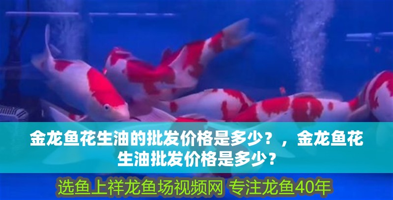 金龍魚花生油的批發價格是多少？，金龍魚花生油批發價格是多少？
