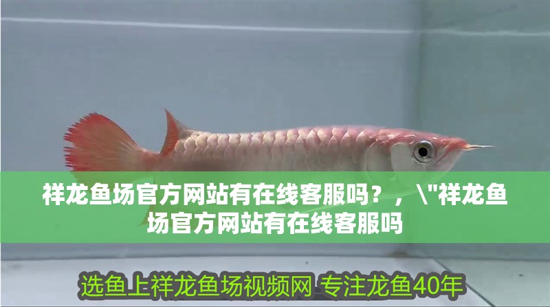 祥龍魚場官方網站有在線客服嗎？，\