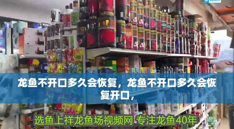 龍魚不開口多久會恢復，龍魚不開口多久會恢復開口， 龍魚不開口多久會恢復，龍魚不開口多久會恢復開口， 龍魚百科