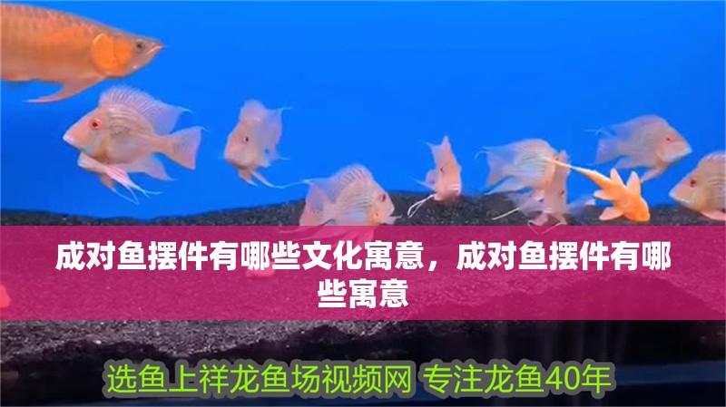 成對魚擺件有哪些文化寓意，成對魚擺件有哪些寓意 成對魚擺件有哪些文化寓意，成對魚擺件有哪些寓意 龍魚百科