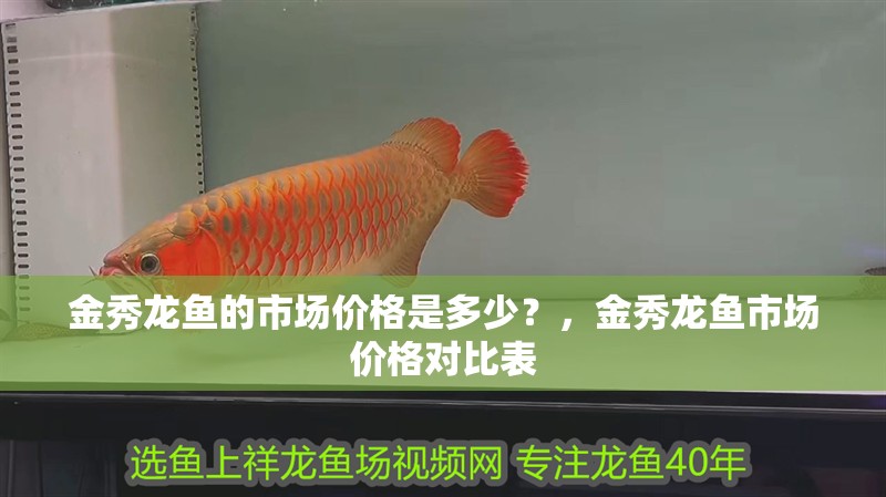 金秀龍魚的市場價格是多少？，金秀龍魚市場價格對比表 金秀龍魚的市場價格是多少？，金秀龍魚市場價格對比表 龍魚百科