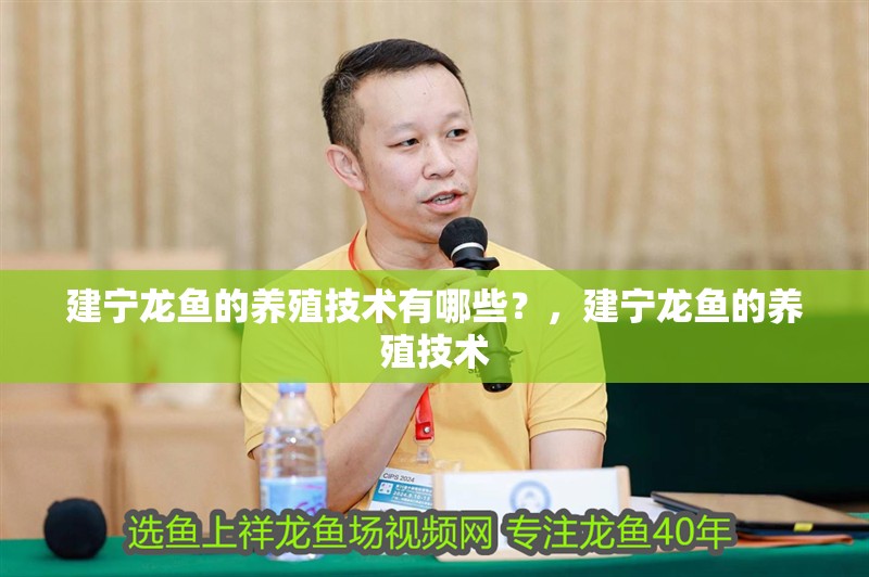 玻璃做魚缸怎么粘才牢固:如何自制玻璃魚缸 建寧龍魚的養(yǎng)殖技術(shù)有哪些?,建寧龍魚的養(yǎng)殖技術(shù) 龍魚百科 建寧龍魚的養(yǎng)殖技術(shù)有哪些?,建寧龍魚的養(yǎng)殖技術(shù) 建寧龍魚的養(yǎng)殖技術(shù)有哪些?,建寧龍魚的養(yǎng)殖技術(shù) 龍魚百科