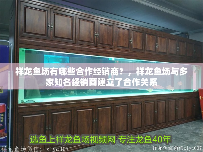 魚缸用增氧泵價格是多少:魚缸增氧機(jī)-xtrac增氧機(jī)-xtrac增氧機(jī) 祥龍魚場有哪些合作經(jīng)銷商?,祥龍魚場與多家知名經(jīng)銷商建立了合作關(guān)系 龍魚百科 祥龍魚場有哪些合作經(jīng)銷商?,祥龍魚場與多家知名經(jīng)銷商建立了合作關(guān)系 祥龍魚場有哪些合作經(jīng)銷商?,祥龍魚場與多家知名經(jīng)銷商建立了合作關(guān)系 龍魚百科