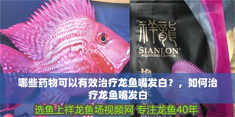 哪些藥物可以有效治療龍魚嘴發白？，如何治療龍魚嘴發白 哪些藥物可以有效治療龍魚嘴發白？，如何治療龍魚嘴發白 龍魚百科