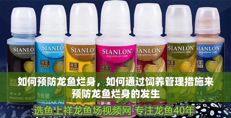 如何預防龍魚爛身，如何通過飼養管理措施來預防龍魚爛身的發生