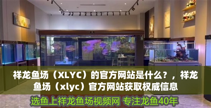 祥龍魚(yú)場(chǎng)（XLYC）的官方網(wǎng)站是什么？，祥龍魚(yú)場(chǎng)（xlyc）官方網(wǎng)站獲取權(quán)威信息 祥龍魚(yú)場(chǎng)（XLYC）的官方網(wǎng)站是什么？，祥龍魚(yú)場(chǎng)（xlyc）官方網(wǎng)站獲取權(quán)威信息 龍魚(yú)百科