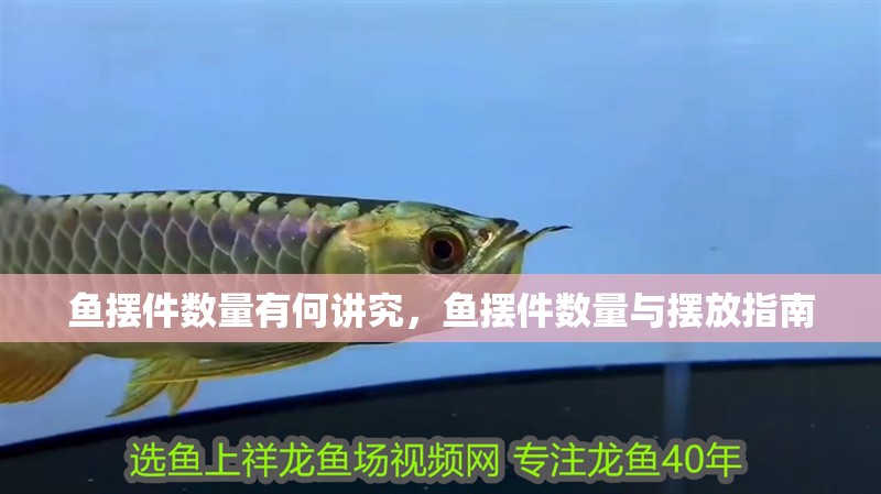 魚缸過濾器選購指南:自制魚缸過濾器魚缸上置過濾器對于養魚愛好者的必備知識 魚擺件數量有何講究,魚擺件數量與擺放指南 龍魚百科 魚擺件數量有何講究,魚擺件數量與擺放指南 魚擺件數量有何講究,魚擺件數量與擺放指南 龍魚百科