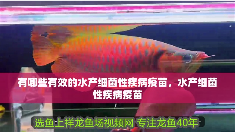 魚缸用增氧泵價(jià)格是多少:魚缸增氧機(jī)-xtrac增氧機(jī)-xtrac增氧機(jī) 有哪些有效的水產(chǎn)細(xì)菌性疾病疫苗,水產(chǎn)細(xì)菌性疾病疫苗 龍魚百科 有哪些有效的水產(chǎn)細(xì)菌性疾病疫苗,水產(chǎn)細(xì)菌性疾病疫苗 有哪些有效的水產(chǎn)細(xì)菌性疾病疫苗,水產(chǎn)細(xì)菌性疾病疫苗 龍魚百科
