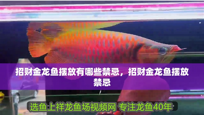 招財金龍魚擺放有哪些禁忌，招財金龍魚擺放禁忌