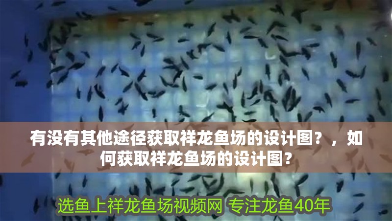 有沒有其他途徑獲取祥龍魚場的設計圖？，如何獲取祥龍魚場的設計圖？ 有沒有其他途徑獲取祥龍魚場的設計圖？，如何獲取祥龍魚場的設計圖？ 龍魚百科