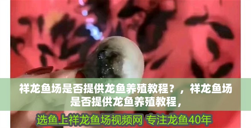祥龍魚場是否提供龍魚養殖教程？，祥龍魚場是否提供龍魚養殖教程，