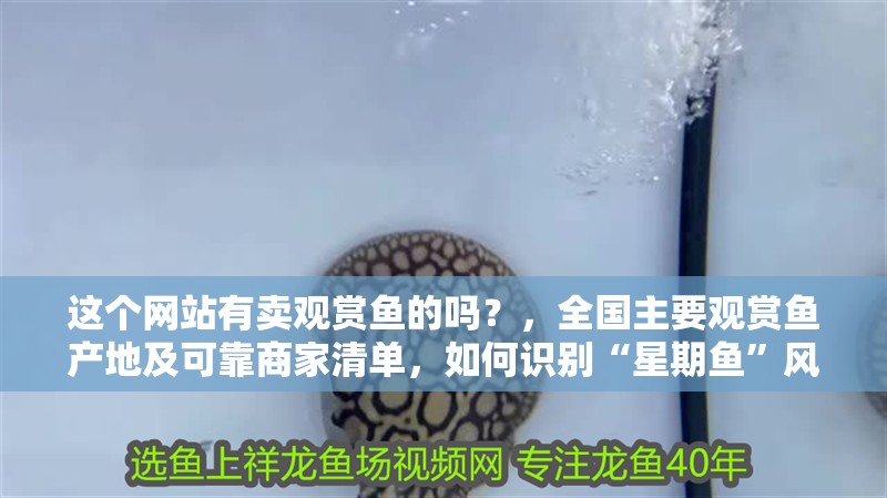 給大魚缸換水的作文:體驗給大魚缸換水的樂趣:體驗給大魚缸換水:給大魚缸換水的作文 這個網(wǎng)站有賣觀賞魚的嗎?,全國主要觀賞魚產(chǎn)地及可靠商家清單,如何識別“星期魚”風(fēng)險 龍魚百科 這個網(wǎng)站有賣觀賞魚的嗎?,全國主要觀賞魚產(chǎn)地及可靠商家清單,如何識別“星期魚”風(fēng)險 這個網(wǎng)站有賣觀賞魚的嗎?,全國主要觀賞魚產(chǎn)地及可靠商家清單,如何識別“星期魚”風(fēng)險 龍魚百科