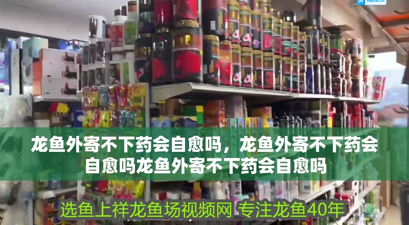 魚缸過濾器選購指南:自制魚缸過濾器魚缸上置過濾器對于養魚愛好者的必備知識 龍魚外寄不下藥會自愈嗎,龍魚外寄不下藥會自愈嗎龍魚外寄不下藥會自愈嗎 龍魚百科 龍魚外寄不下藥會自愈嗎,龍魚外寄不下藥會自愈嗎龍魚外寄不下藥會自愈嗎 龍魚外寄不下藥會自愈嗎,龍魚外寄不下藥會自愈嗎龍魚外寄不下藥會自愈嗎 龍魚百科