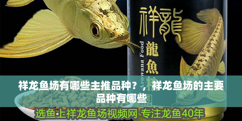 祥龍魚場有哪些主推品種？，祥龍魚場的主要品種有哪些