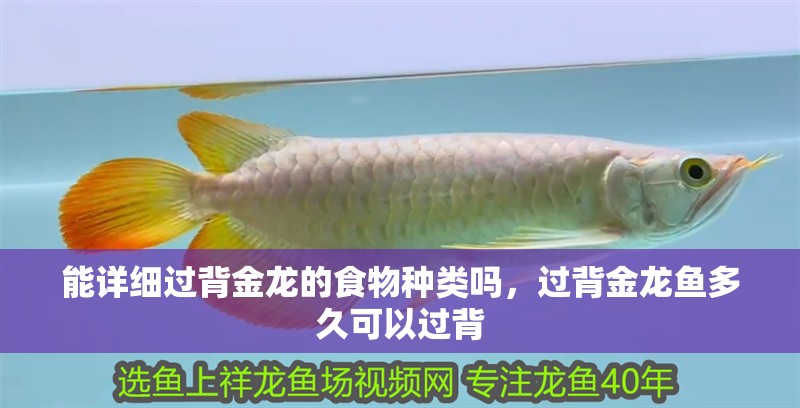 能詳細過背金龍的食物種類嗎，過背金龍魚多久可以過背 能詳細過背金龍的食物種類嗎，過背金龍魚多久可以過背 龍魚百科