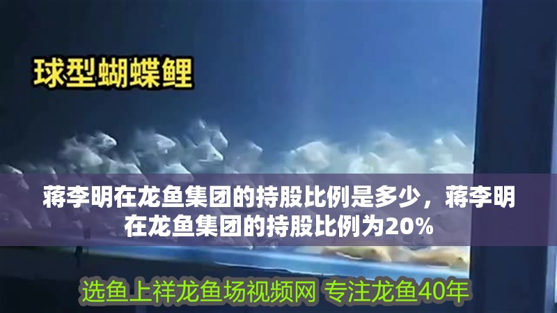 蔣李明在龍魚(yú)集團(tuán)的持股比例是多少，蔣李明在龍魚(yú)集團(tuán)的持股比例為20% 蔣李明在龍魚(yú)集團(tuán)的持股比例是多少，蔣李明在龍魚(yú)集團(tuán)的持股比例為20% 龍魚(yú)百科