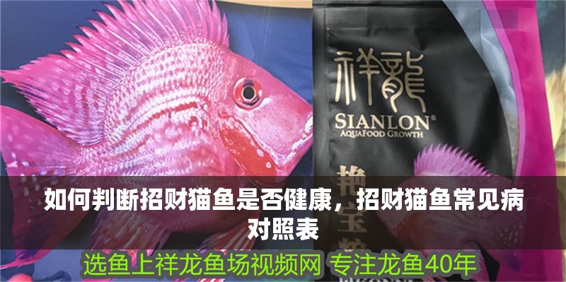 如何判斷招財(cái)貓魚(yú)是否健康，招財(cái)貓魚(yú)常見(jiàn)病對(duì)照表 如何判斷招財(cái)貓魚(yú)是否健康，招財(cái)貓魚(yú)常見(jiàn)病對(duì)照表 龍魚(yú)百科
