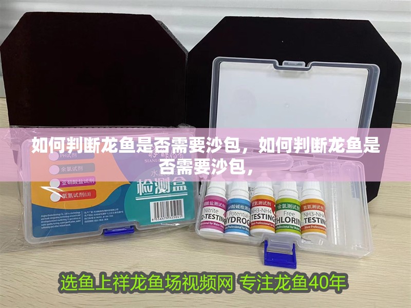 如何判斷龍魚是否需要沙包，如何判斷龍魚是否需要沙包， 如何判斷龍魚是否需要沙包，如何判斷龍魚是否需要沙包， 龍魚百科
