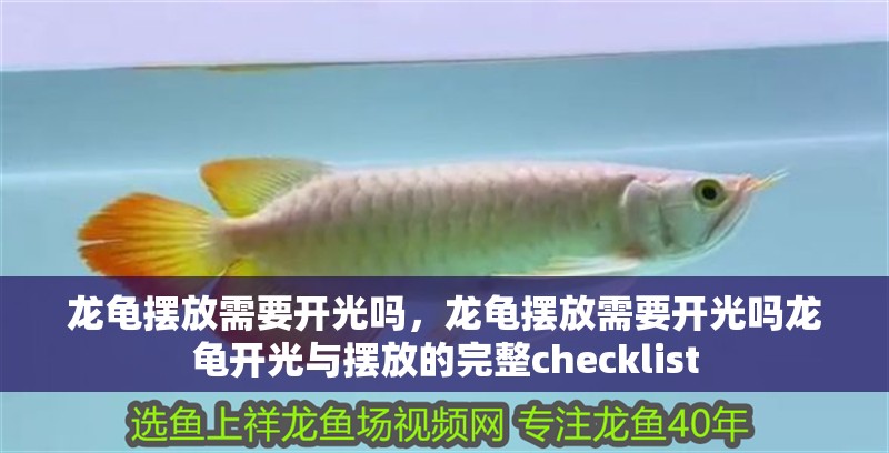 龍龜擺放需要開(kāi)光嗎，龍龜擺放需要開(kāi)光嗎龍龜開(kāi)光與擺放的完整checklist