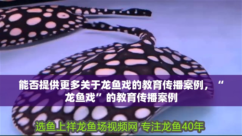 能否提供更多關于龍魚戲的教育傳播案例，“龍魚戲”的教育傳播案例 能否提供更多關于龍魚戲的教育傳播案例，“龍魚戲”的教育傳播案例 龍魚百科