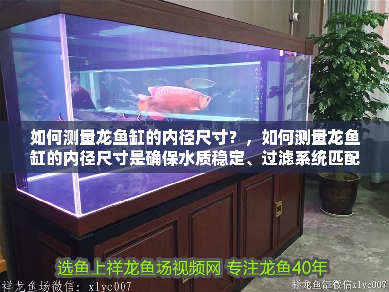 如何測量龍魚缸的內徑尺寸？，如何測量龍魚缸的內徑尺寸是確保水質穩定、過濾系統匹配 如何測量龍魚缸的內徑尺寸？，如何測量龍魚缸的內徑尺寸是確保水質穩定、過濾系統匹配 龍魚百科